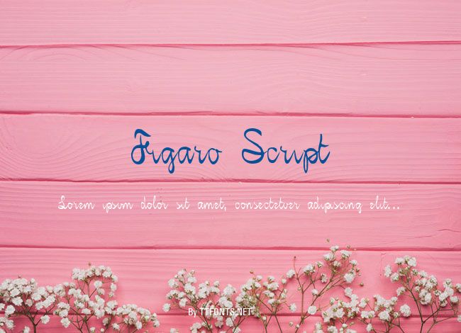 Figaro Script example